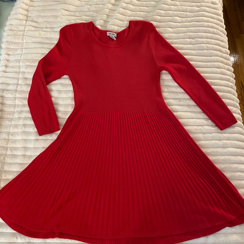 Gently worn red sweater dress, size 2X, I am selling as it no longer fits me.